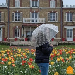 Parapluie les petites fleurs|Petit Jour Paris Clearance