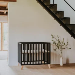 Hot Quax Parc Alix Noir (95 x 75 cm)