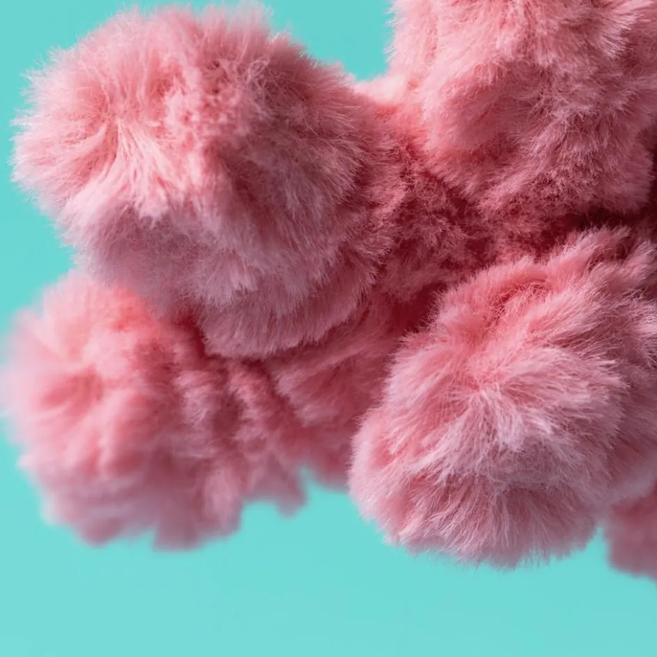 Peluche Amuseable Corail (16 cm)|Jellycat Hot