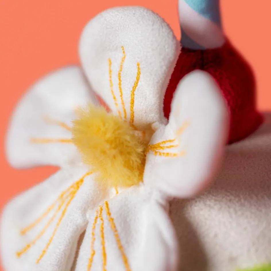 Peluche Amuseable Noix de Coco Aruba (15 cm)|Jellycat New