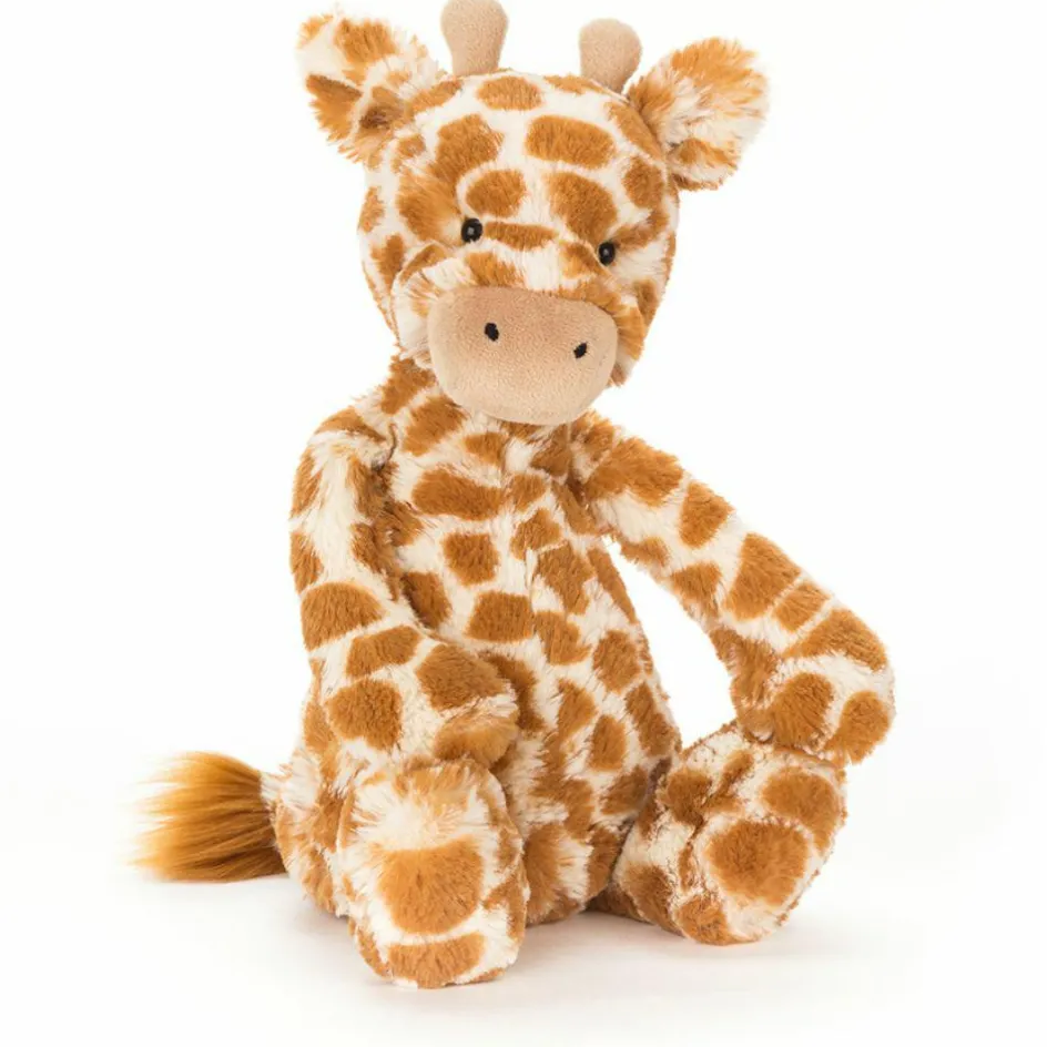 Peluche Bashful Girafe (31 cm)|Jellycat Sale