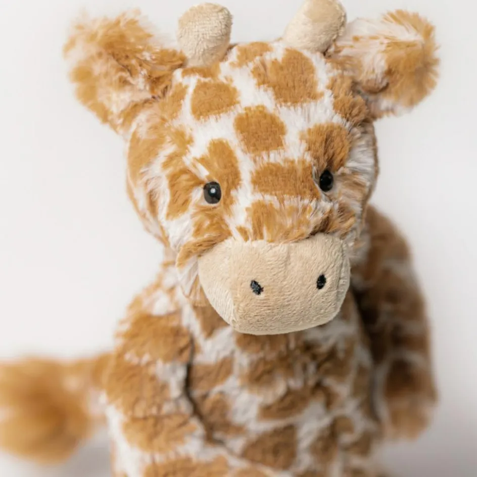 Peluche Bashful Girafe (31 cm)|Jellycat Sale