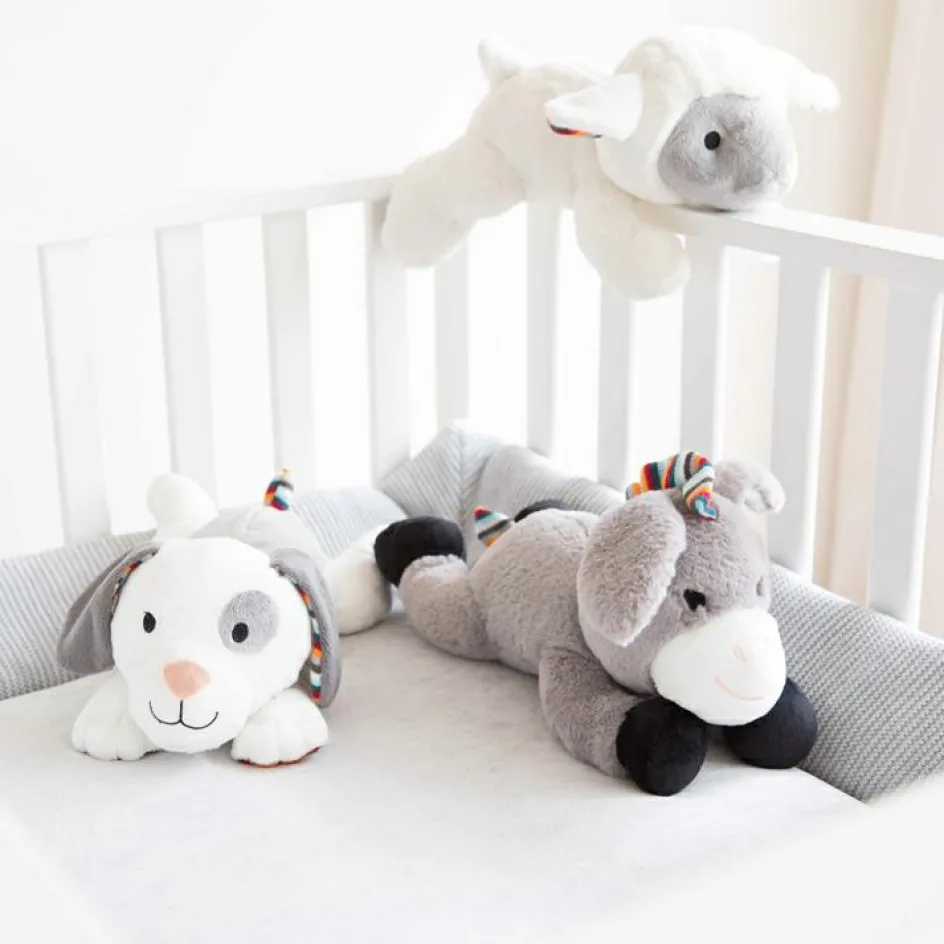 Discount ZAZU Peluche bruit blanc ou musicale Dexy le chien - Reconditionné