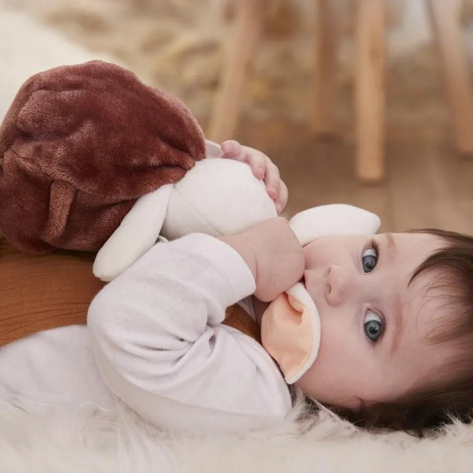 Peluche bulle d'amour lapin cannelle Plume (23 cm)|Kaloo New