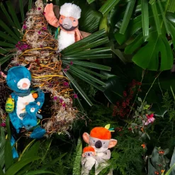 Peluche d'activités Koco le koala Dans la Jungle|Moulin Roty Outlet