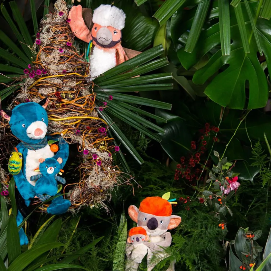 Peluche d'activités Koco le koala Dans la Jungle|Moulin Roty Outlet