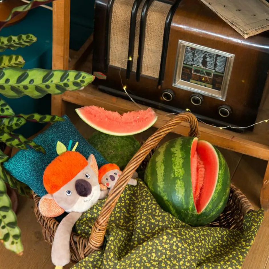 Peluche d'activités Koco le koala Dans la Jungle|Moulin Roty Outlet