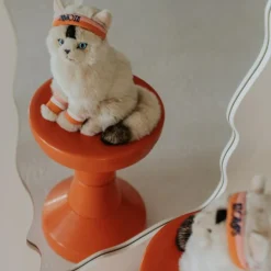 Peluche Dolly le Ragdoll (32 cm)|BT Chaps New