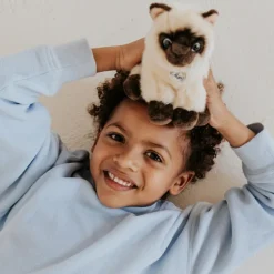 Peluche Eddie le Siamois (17 cm)|BT Chaps Clearance