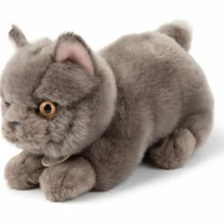 Peluche Freddy le Brittish Shorthair (20 cm)|BT Chaps New