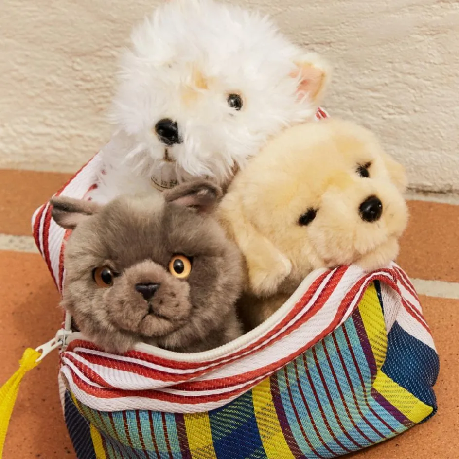 Discount BT Chaps Peluche Freddy le Brittish Shorthair assis (17 cm)