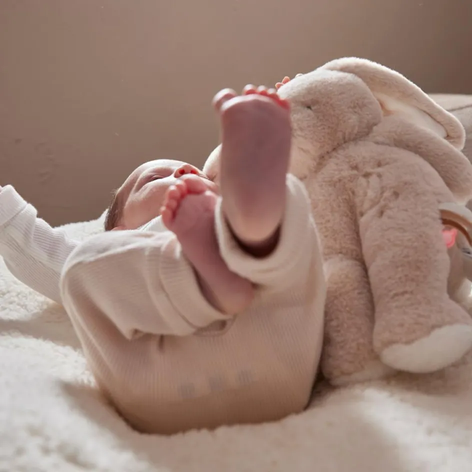 Peluche Moka (40 cm)|Noukie's Discount