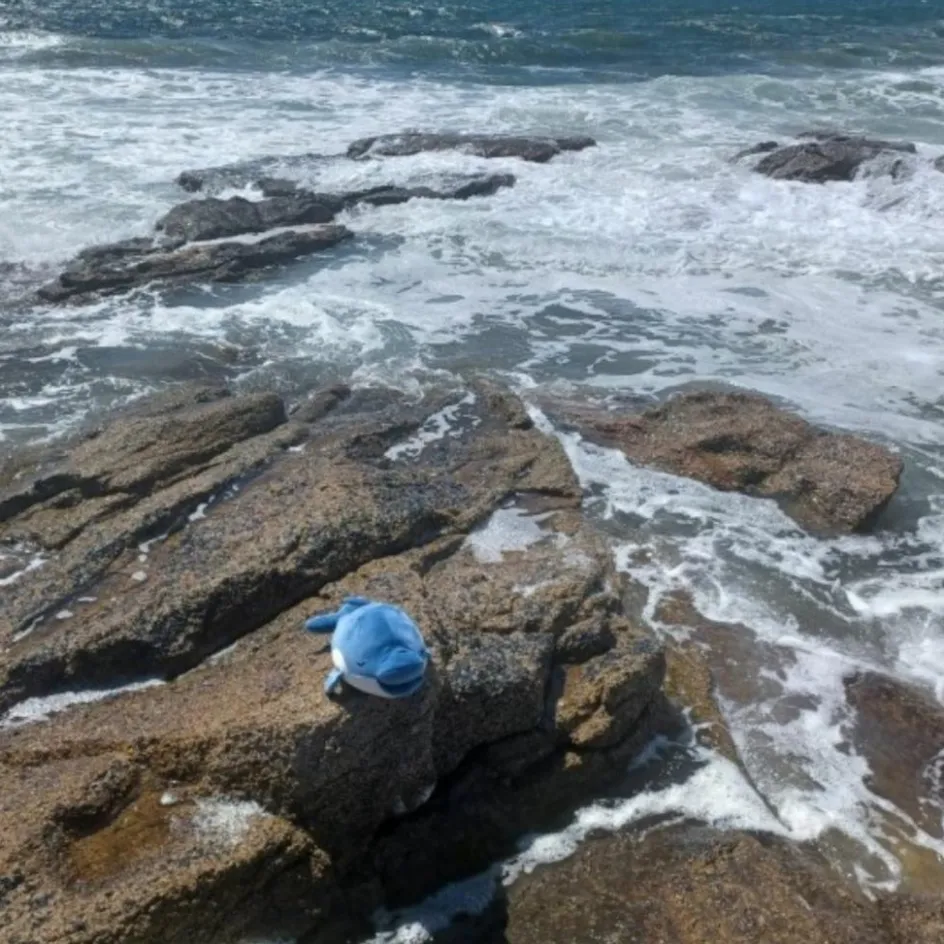 Peluche Nemu Nemu Flip dauphin (54 cm)|Trousselier