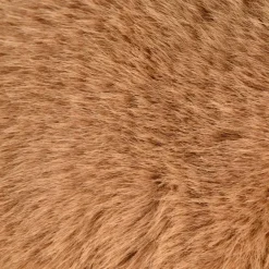 Peluche ours marron lesté PODCOLL (40 cm)|Histoire d'Ours Best