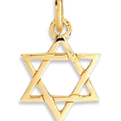 Clearance Lucas Lucor Pendentif Etoile de David ajourée (or jaune 375°)