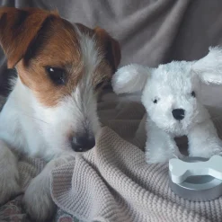 Sale Jabadabado Petit chien avec son sac