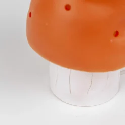 Petite lampe veilleuse champignon Petit Terra|Egmont Toys Online
