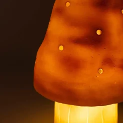 Petite lampe veilleuse champignon Petit Terra|Egmont Toys Online