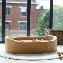 Piscine à balles Goldy|Bo Jungle Online