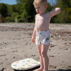 Planche de natation Dino Beach|Filibabba Clearance