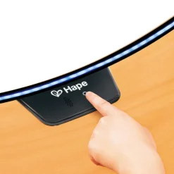 Planche d'équilibre interactive|Hape Best