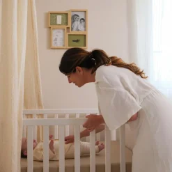 Discount Petit Artichaut Pêle-mêle Olive Tree