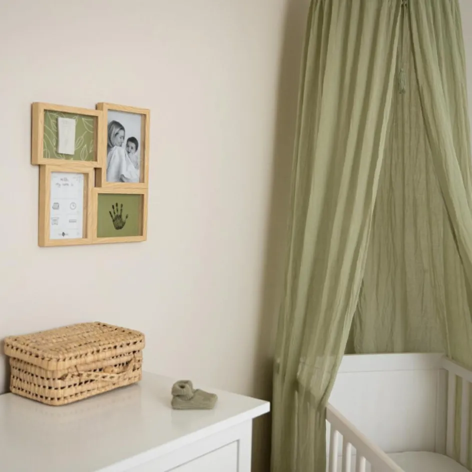 Discount Petit Artichaut Pêle-mêle Olive Tree