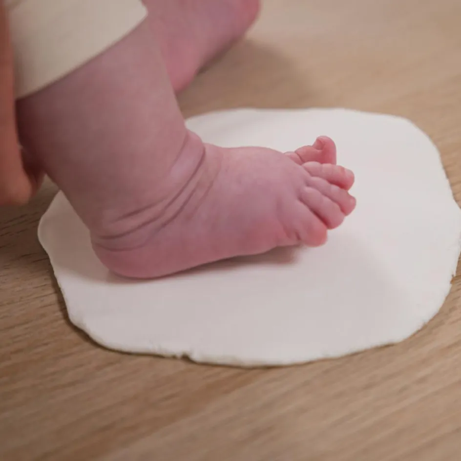 Discount Petit Artichaut Pêle-mêle Olive Tree