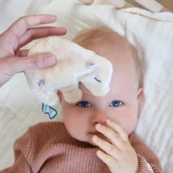 Poche calmante Ours|Kaloo Online