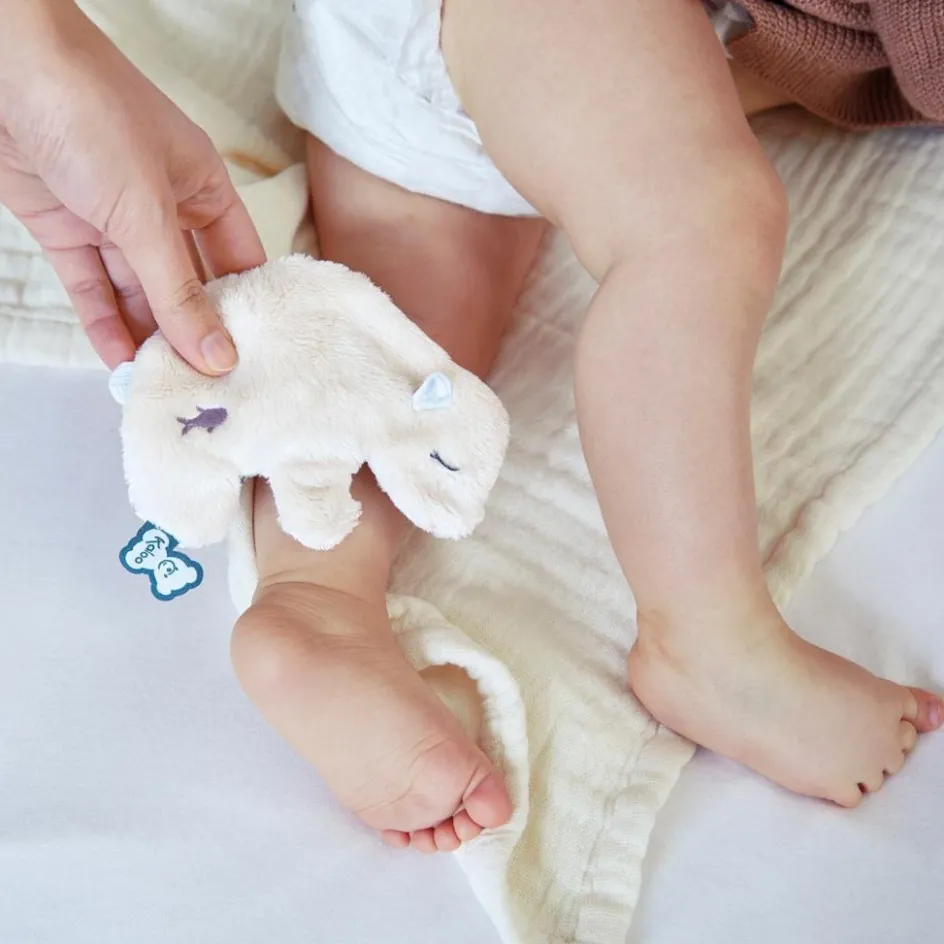 Poche calmante Ours|Kaloo Online