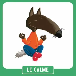 New Auzou Editions P'tit Loup - Mon mémo des émotions