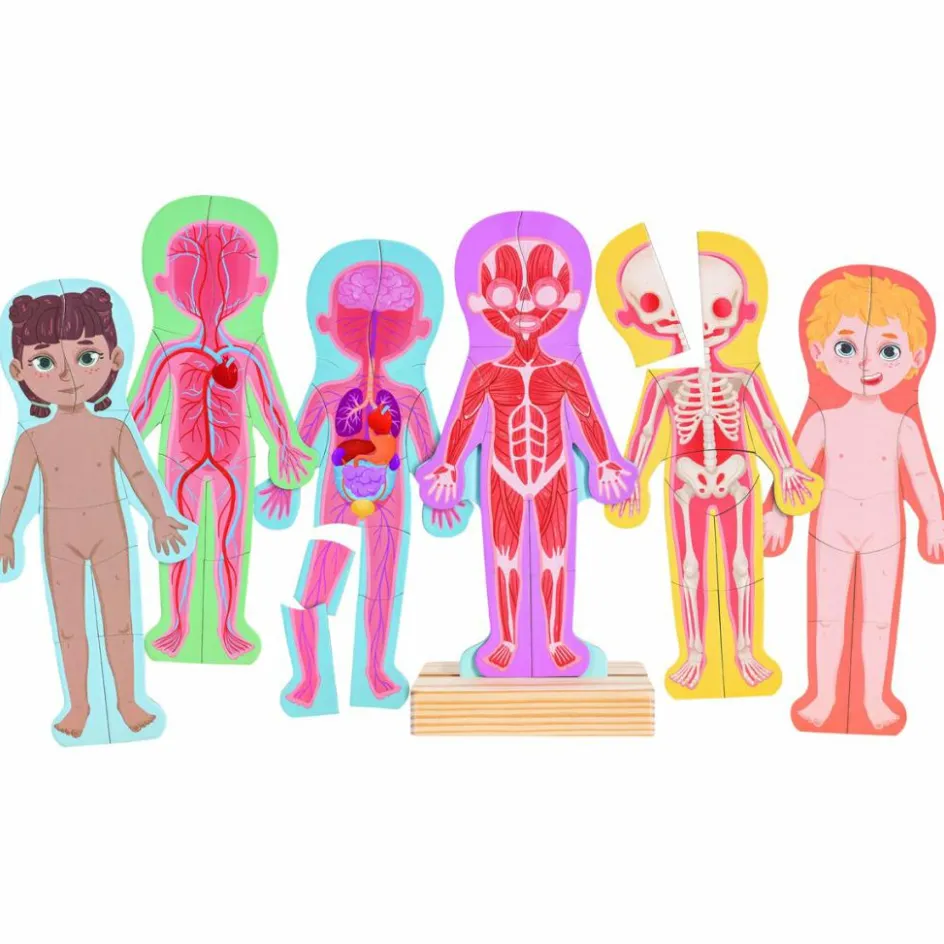 Puzzle aimanté Le corps humain|Hape