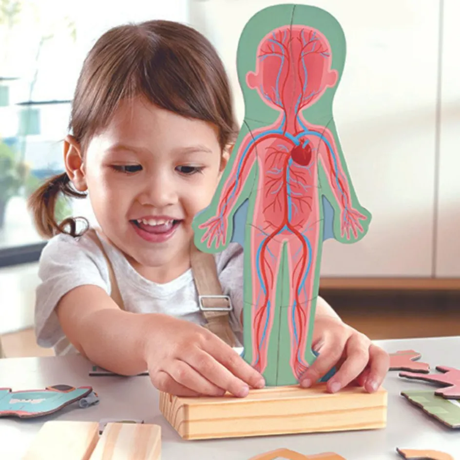 Puzzle aimanté Le corps humain|Hape