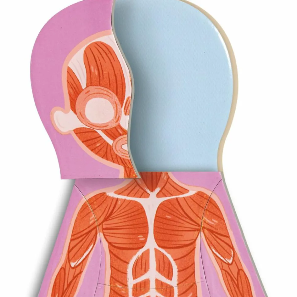 Puzzle aimanté Le corps humain|Hape