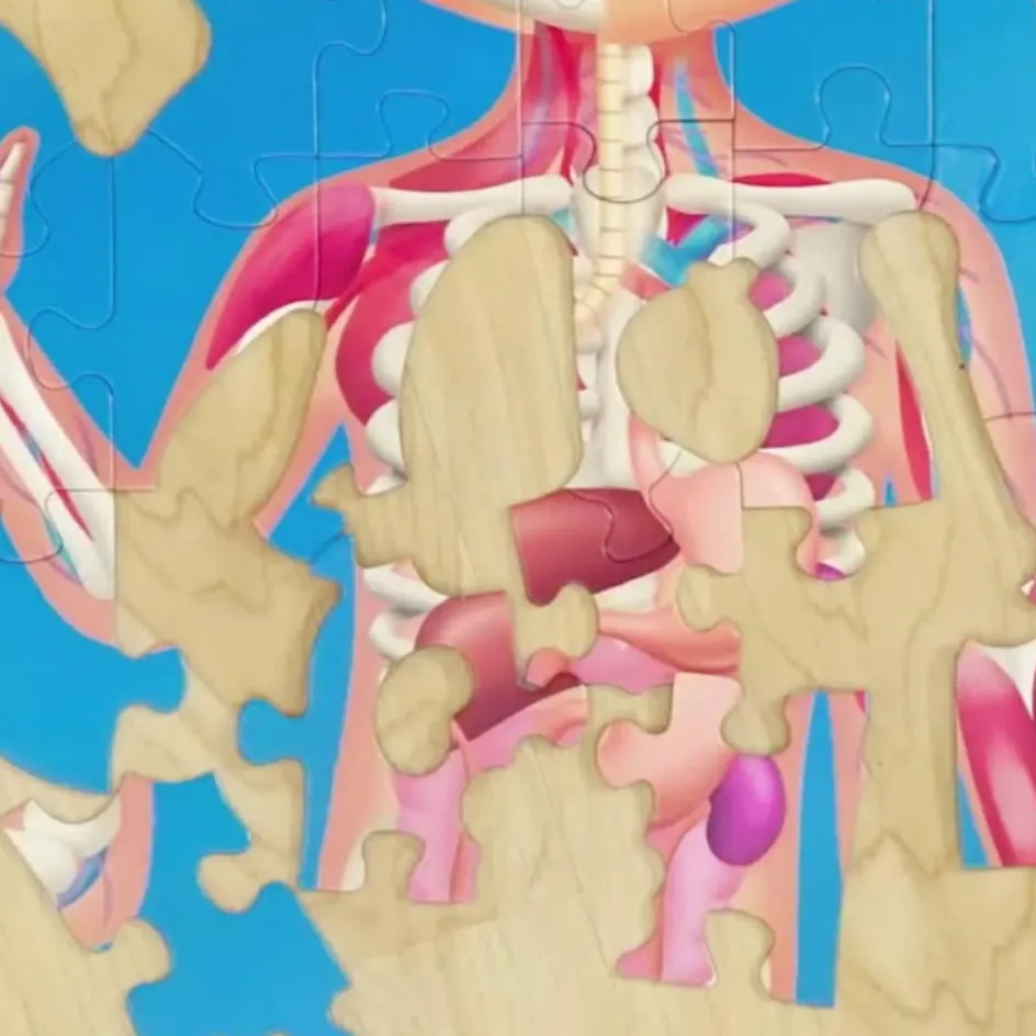 Hape Puzzle corps humain (60 pièces)