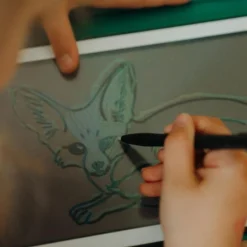 Recharge KIDYDRAW-MINI Thème : Pirates Princesses et Animaux Sauvages|KIDYWOLF Hot