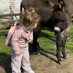 Sac à dos bébé My first bag rose (23 cm)|Childhome Online