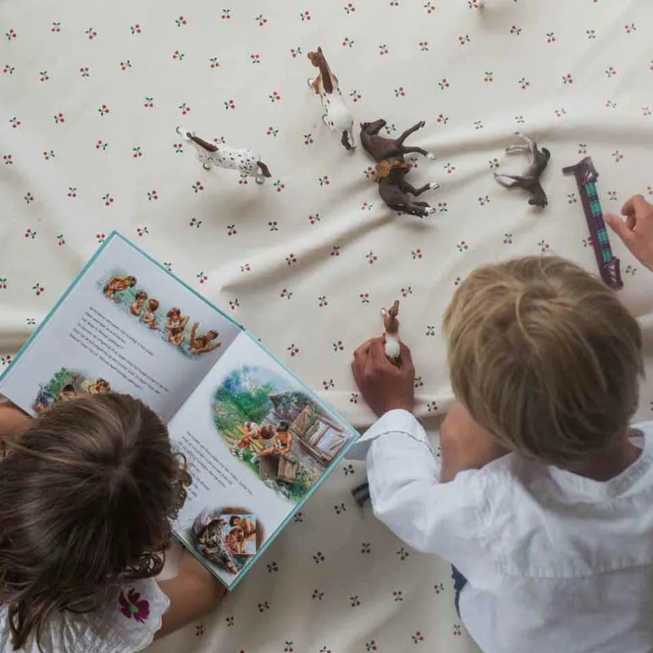 Sac à jouet 2 en 1 Noomad Original Cherry Cherry|Play&Go Outlet