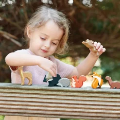 Best Tender Leaf Set animaux en bois Forêt