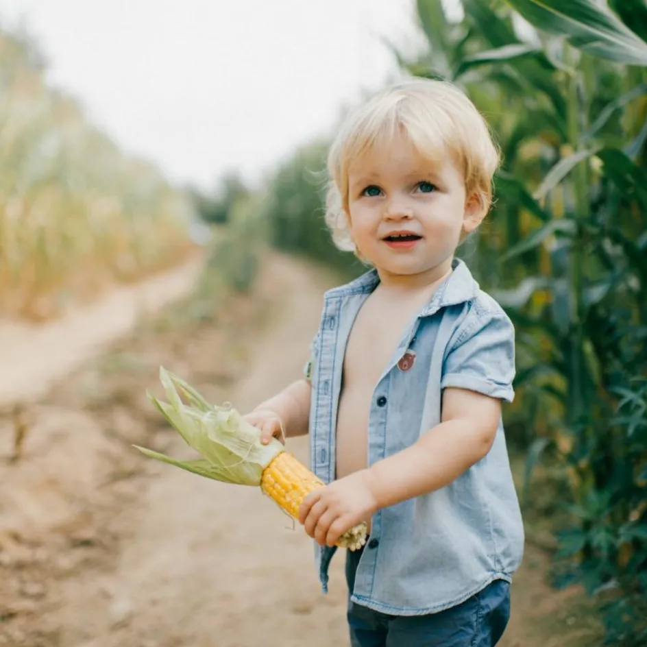 Best Squitos Set de 24 patchs anti-moustique naturel