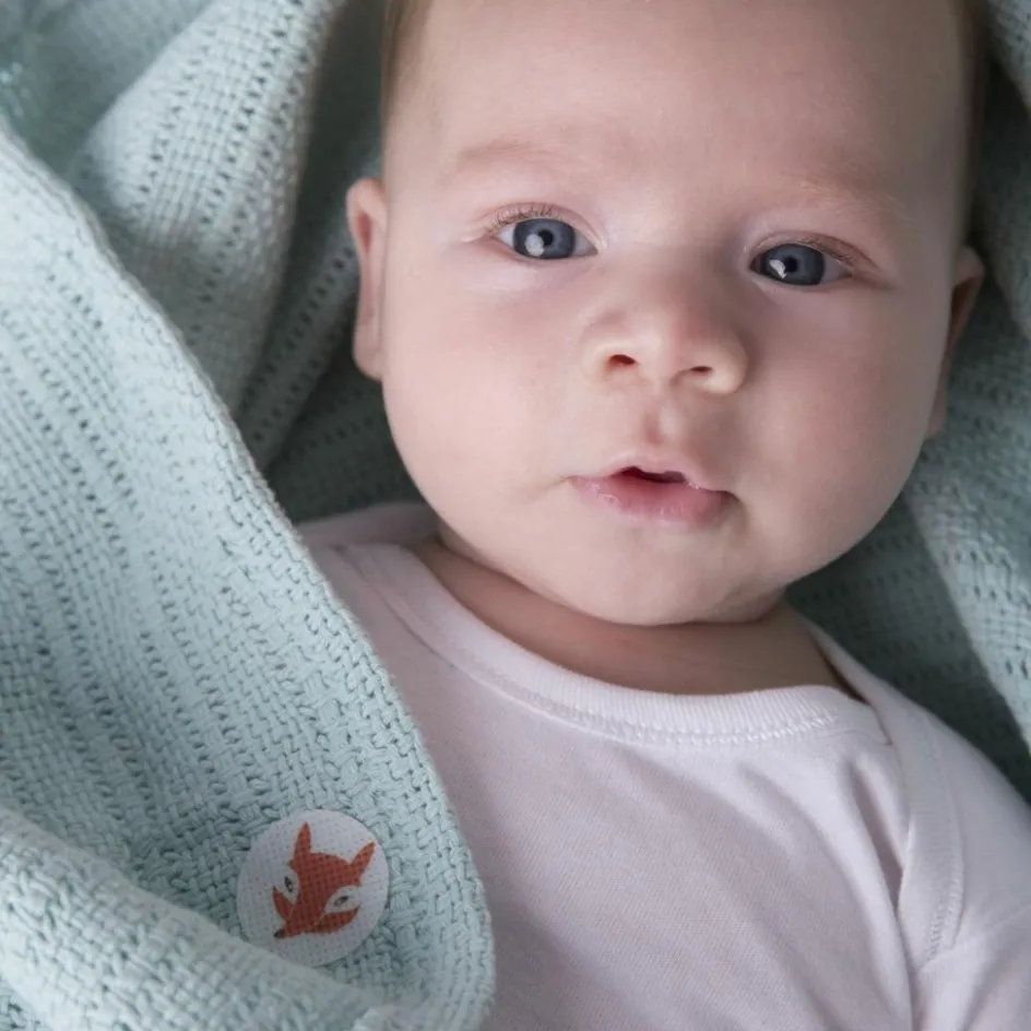 Best Squitos Set de 24 patchs anti-moustique naturel