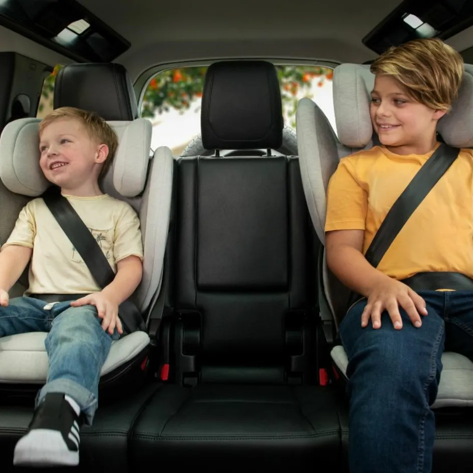 Siège-auto AACE LX Forest|Nuna New