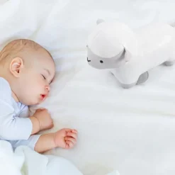 Best Little Big Friends Simon le Mouton Les Animaux Musicaux