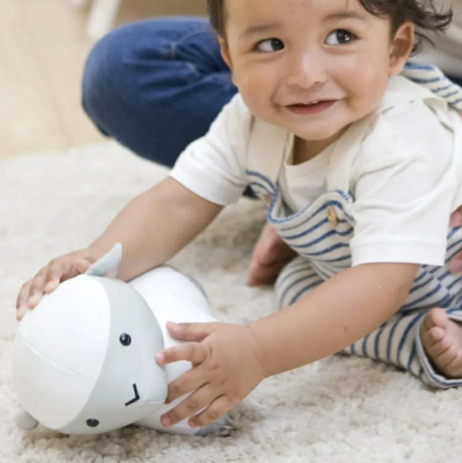 Best Little Big Friends Simon le Mouton Les Animaux Musicaux