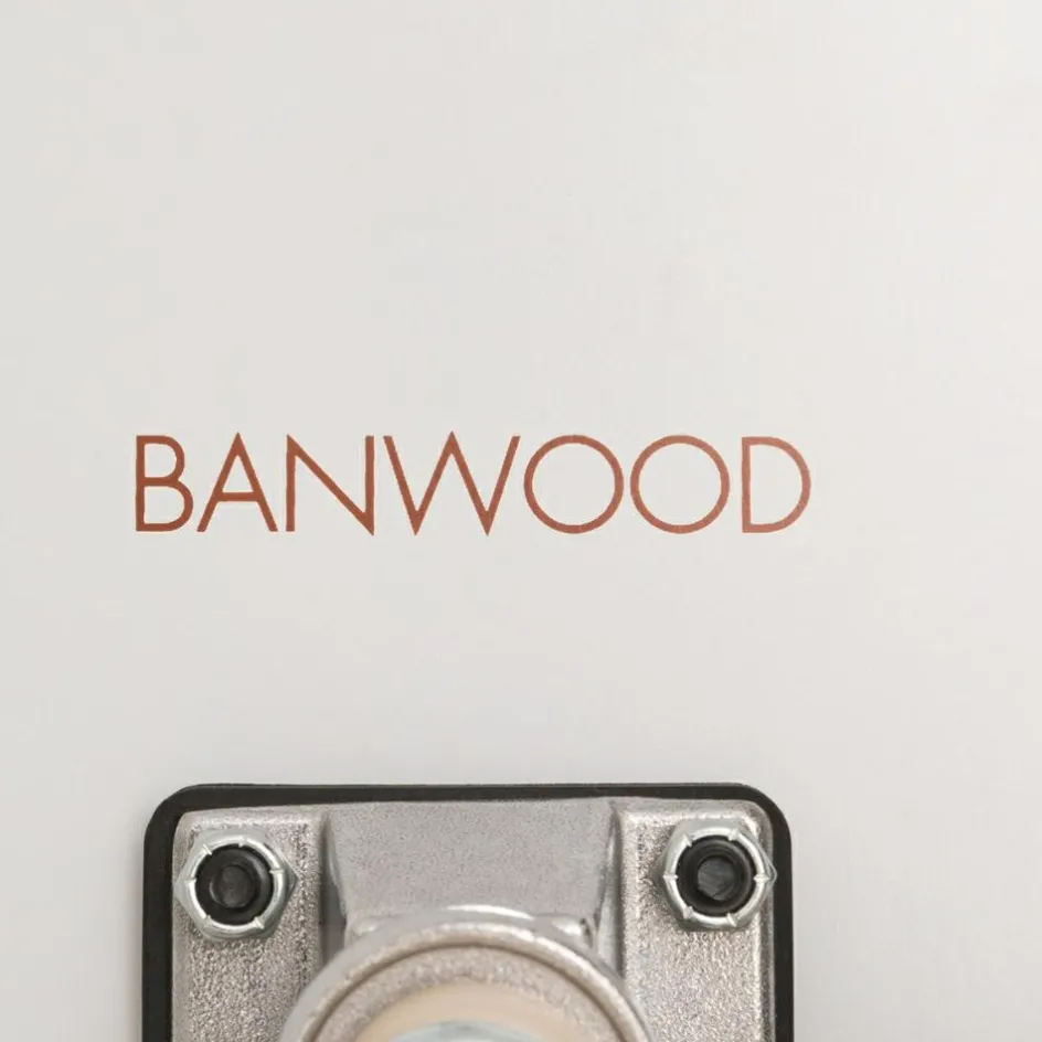 Discount Banwood Skateboard blanc