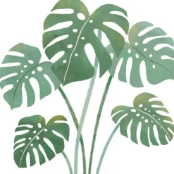 Sticker Feuilles de monstera|Lilipinso Hot