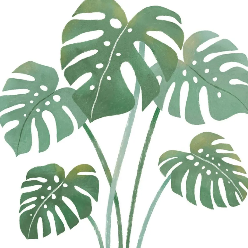 Sticker Feuilles de monstera|Lilipinso Hot