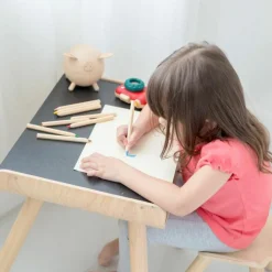 Table et chaise en bois|Plan Toys Sale
