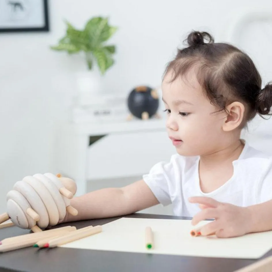 Table et chaise en bois|Plan Toys Sale