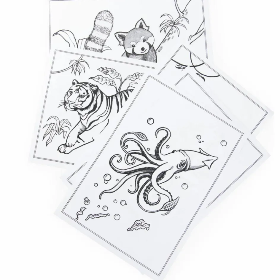 Tablette lumineuse Kidywolf Tout autour du monde|Moulin Roty Discount